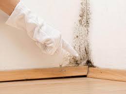 Best Asbestos and Lead Testing During Mold Inspection  in Mcconnellsburg, PA